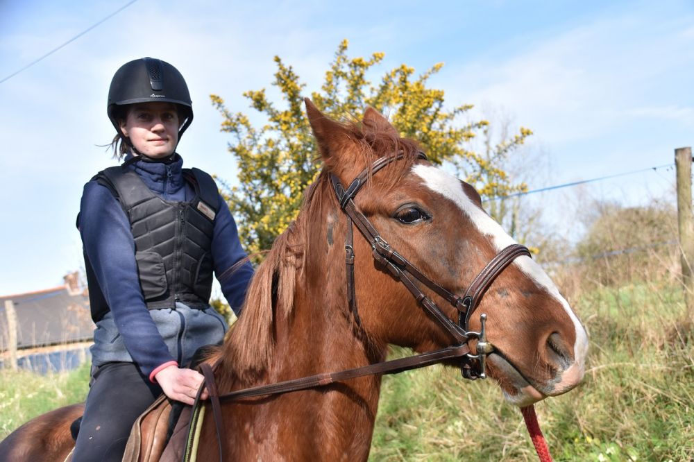 Perfekt utstyr for hest og rytter: En guide til optimal sikkerhet og komfort