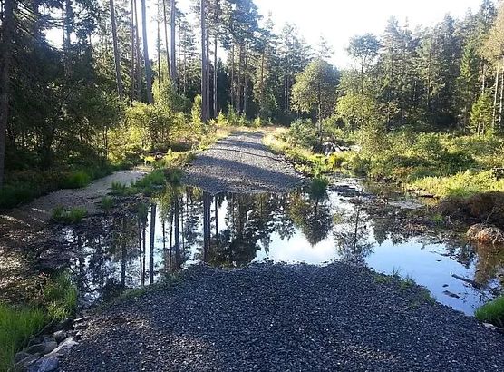Slik bygger man en skogsvei